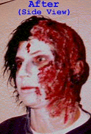 gross2.gif (37823 bytes)
