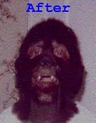 wolfman.gif (16422 bytes)