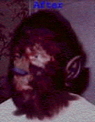 wolfman2.gif (17854 bytes)